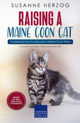 Raising a Maine Coon Cat Guidebook how to educate a Maine