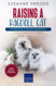 Raising a Ragdoll Cat  Guidebook how to educate a Ragdoll Kitten