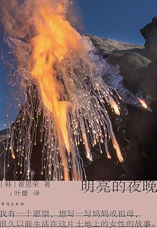 Bright Night (Chinese Edition)