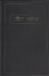 Punjabi Holy Bible