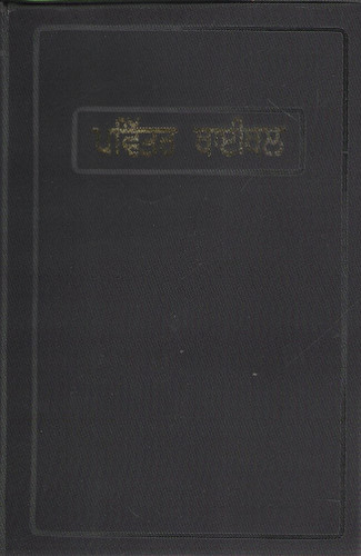 Punjabi Holy Bible