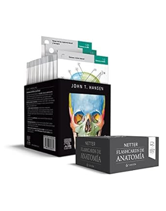 Netter. Flashcards de anatomia