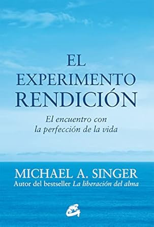 El experimento rendicion: El encuentro con la perfeccion de la vida