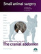 The cranial abdomen. Small animal surgery