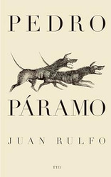 Pedro Paramo: Spanish Edition