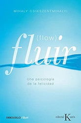Fluir (Flow)