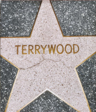 Terry Richardson: Terrywood