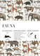Fauna: Gift & Creative Paper Book Vol.90