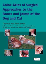 Color Atlas of Surgical Approaches to the Bones and Joints