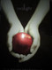 Twilight Book 1