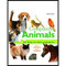 Companion Animals