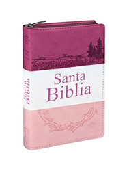Biblia RVR60 Concordancia Amplia Letra Grande palabras de