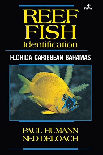 Reef Fish Identificationflorida Caribbean Bahamas