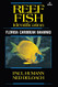 Reef Fish Identificationflorida Caribbean Bahamas