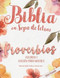 Biblia en Sopa de Letras - PROVERBIOS VOLUMEN 1 - EDICIoN PARA