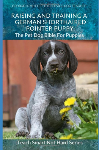 Raising And Training A German Shorthair Pointer
