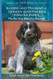 Raising And Training A German Shorthair Pointer