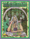 The Herbal Business