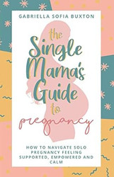 The Single Mama's Guide To Pregnancy