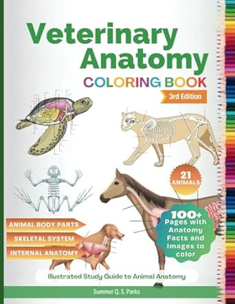 Veterinary Anatomy Coloring Book