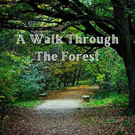 A Walk Through the Forest