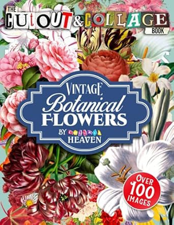 The Cut Out And Collage Book Vintage Botanical Flowers