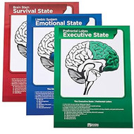 Conscious Discipline Brain State Poster Set