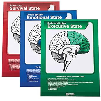Conscious Discipline Brain State Poster Set