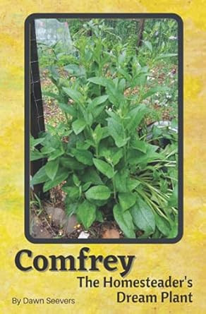 Comfrey The Homesteader's Dream Plant How to Grow and Use