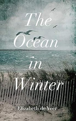 The Ocean in Winter