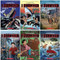 I Survived Series Graphic Novels Collection