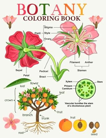 Botany Coloring Book