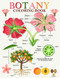 Botany Coloring Book