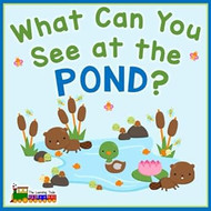 What Can You See at the Pond?