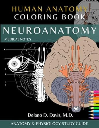 Neuroanatomy