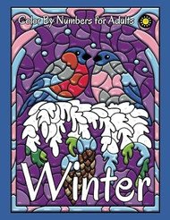 Winter Color by Numbers for Adults