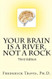 Your Brain Is a River Not a Rock
