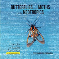 Butterflies and Moths of the Neotropics