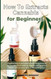 How To Extracts Cannabis for Beginners