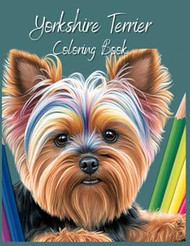 Pawsitively Perfect Yorkies