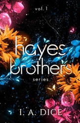 Hayes Brothers Series vol. 1: Too Much Too Wrong Too Sweet