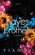 Hayes Brothers Series vol. 1: Too Much Too Wrong Too Sweet
