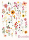 Wedding Guest Book