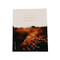 Blessed Is She Matthew Bible Study Workbooks-Bible Study