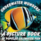 Underwater Wonders