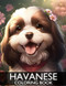 Havanese Coloring Book