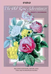 The Old Rose Adventurer Book One