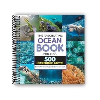 The Fascinating Ocean Book for Kids
