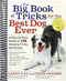 The Big Book of Tricks for the Best Dog Ever