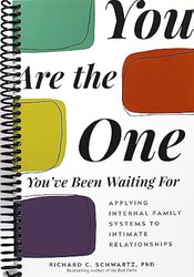 You Are the One You've Been Waiting For